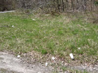 Rock Ridge Road